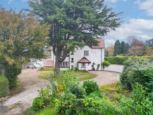 Photo 38- click for photo gallery